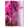 artgeist Paravan Pink Orchid, 3-Delni, Dvostranski