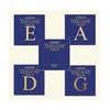 Strune za violino Larsen Tzigane 4/4 631.393