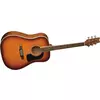 Washburn D10STS