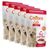 Calibra Dog Life Adult Beef, vrečka 5 x 150 g