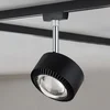 Paulmann URail LED spot Aldan 2.700K črna - Dnevna soba/jedilnica - Sodobni - črna mat, krom - Kovina
