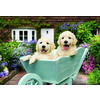 AnaTolian - Puzzle Puppies in a Wheelbarrow - 200 - 260 kosov