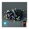 Nedis WIFILX01C42-LED RGB spoljna svetlosna girlanda 42xLED/8 funkcija 8m IP65 Wi-Fi Tuya