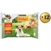 Friskies Vlažna hrana za pse, Adult dog prelivi u sosu Meso, 48x85g
