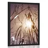 Plakat poljska trava - 60x90 no frame