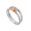 Just cavalli - JCRG00210408