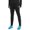 Puma Hlače teamLIGA Training Pants