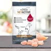 Platinum VetActive hrana za pse Senior - 1.5 kg