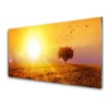 tulup.si Slika na akrilnem steklu Sunset meadow ptice 100x50 cm 4 obešalnika