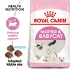 Royal Canin Suva hrana za mačiće Baby cat 34 - 400gr.