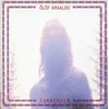 Ólöf Arnalds - Surrender (7)
