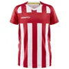 Craft Dres Progress 2.0 Stripe Jersey JR