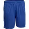 Derbystar Kratke hlače Derbystar Basic Shorts