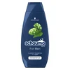 SAMPON SCHAUMA FOR MEN 400ML (5) HENKEL
