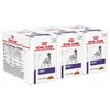 Royal Canin VHN DOG ADULT pouch 36 x 100 g