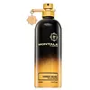 EDP unisex Montale Amber Musk 100ml