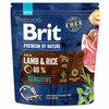 Brit Premium by Nature Suva hrana za osetljive pse Sensitive, Jagnjetina i pirinač, 1 kg