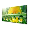 tulup.si Slika na platnu Stem dew drops rastlin 100x50 cm