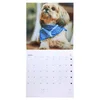 Biro Time yearly 30 zidni kalendar 30x30cm 14 lista pas ( 490043 )