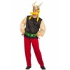 Asterix moški filmski kostum