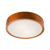LED plafonsko svetlo LED/24W/230V