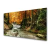 tulup.si Slika na steklu Forest slap narava 125x50 cm 4 obešalnika