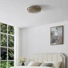 EGLO LED-stropna svetilka CONISTARINO, rjava, O 40 cm, CCT - Dnevna soba/jedilnica - rjavo-prosojna, bela - Kovina