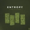 Entropy NY - All Work, No Plagiarism (LP)