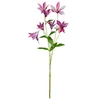 Ukrasna Grančica 84cm Clematis