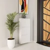 Hanah Home Cipelarnik, 50x103x15 cm, Beli