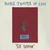 Horse Jumper Of Love - So Divine (LP)