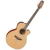 Takamine P3NC Elektroakustična jumbo