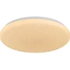 Rabalux 71447 - LED prigušiva stropna svetiljka DANNY 2 LED/60W/230V 3000-6500K prečnik 58 cm + daljinski upravljač