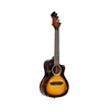 Ukulele Concert Private room serija G-C-E-A DSSUITE-UKE Ortega