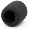 Lauten Audio LS-208 Windscreen sunđer