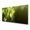 tulup.si Slika na steklu Listi sončnimi žarki 100x50 cm 4 obešalnika