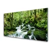 tulup.si Slika na steklu Forest stream river falls 120x60 cm 2 obešalnika