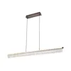LED luster na sajli ALBA LED/39W/230V siva/prozirna