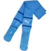 Nogavice Puma teamFINAL Socks