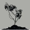 Innerwoud & Treha Sektori - Split (Limited Edition) (10 LP)