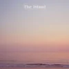 Chris Forsyth & Koen Holtkamp - The Island (LP)