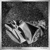 William Basinski & Janek Schaefer - . . . On Reflection (Limited Edition) (LP)
