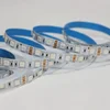 XLed 183447 5050 RGB12V Led traka,5 m kotur