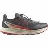 Salomon ALPHARIDE 2 GTX, muške patike za trail trčanje, siva L49181600