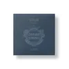 Strune za violino Jargar silver medium 4/4 630.819