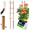 KADAX Bambusova lestev za oporo rastlin 38 cm, dvojna opora za rože