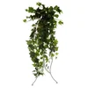 Lozica sitnolisna hedera duzina - 97cm sirina - 42cm