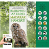 Ismerd meg az erdei madarak hangját!