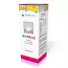 BioMind kapi