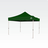 Škarski paviljon 3x3m - brez 3 sten - Zelena